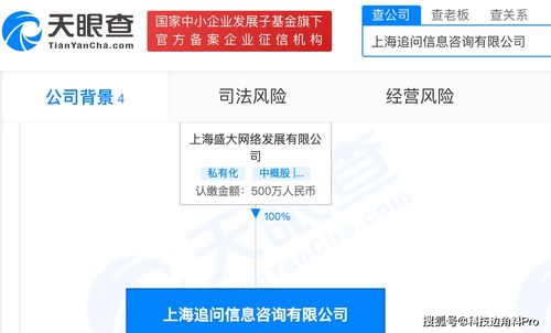盛大網絡再落子 成立上海追問信息咨詢公司，注冊資本500萬元深耕信息咨詢服務